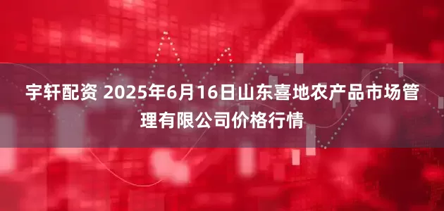 宇轩配资 2025年6月16日山东喜地农产品市场管理有限公司价格行情