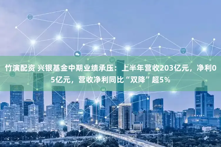 竹演配资 兴银基金中期业绩承压：上半年营收203亿元，净利05亿元，营收净利同比“双降”超5%