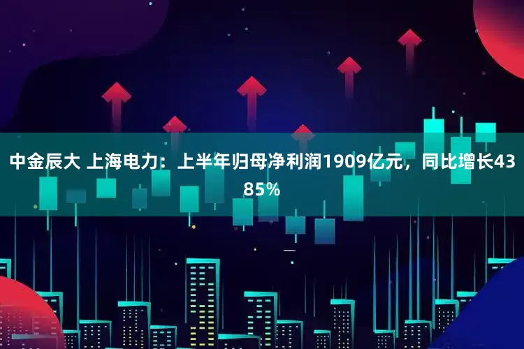 中金辰大 上海电力：上半年归母净利润1909亿元，同比增长4385%